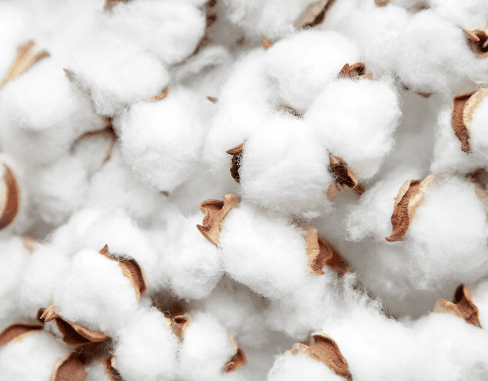 Baby in SNOO Comforter Sack