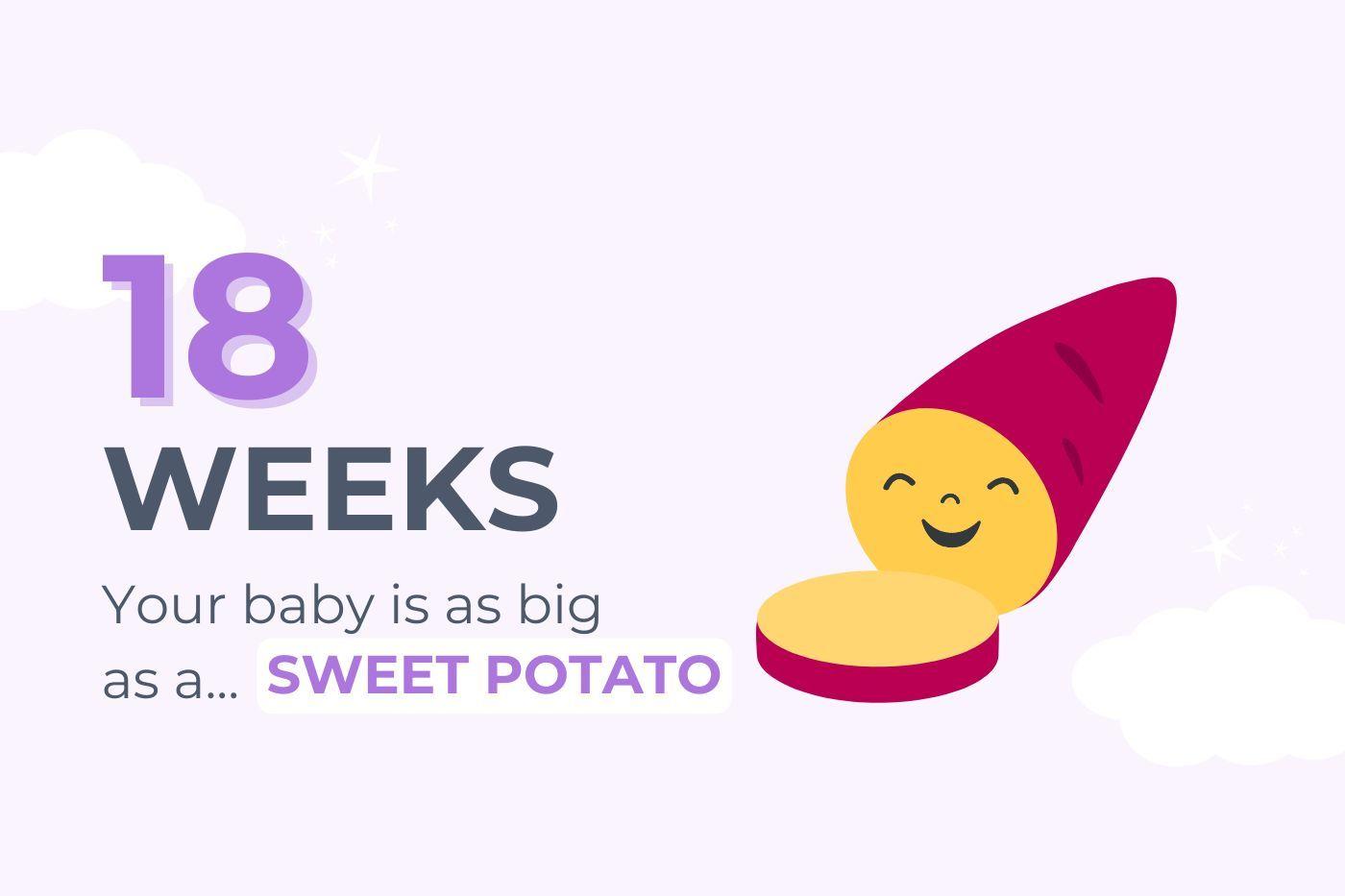 your-baby-is-as-big-as-a-sweet-potato