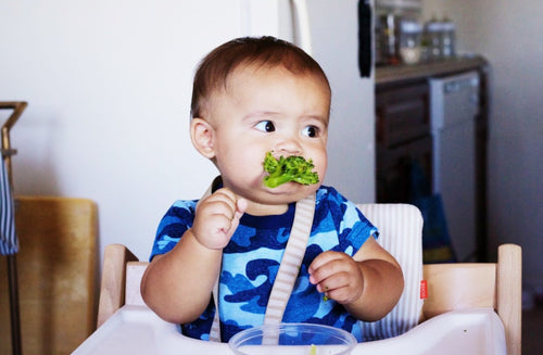 Should I Try Baby-Led Weaning?